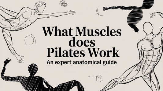 What Muscles Does Pilates Work? An Expert Anatomical Guide